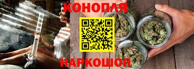 прущие грибы Севастополь